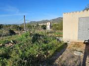 Casa rústica, Manacor