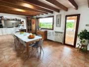 Casa rústica, Manacor