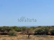 Casa rústica, Manacor