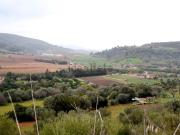 Casa rústica, Manacor