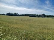 Casa rústica, Manacor