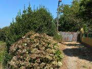 Casa rústica, Marin