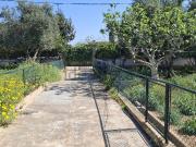 Casa rústica, Marratxi