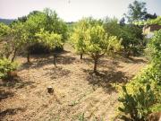 Casa rústica, Mediona