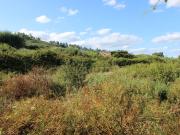 Casa rústica, Midões