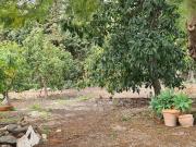 Casa rústica, Mijas