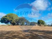 Casa rústica, Moita