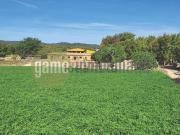 Casa rústica, Molí de Vent La Sauleda Santa Margarida,...