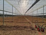 Casa rústica, Molvizar