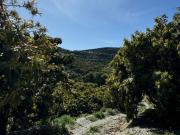 Casa rústica, Motril