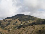 Casa rústica, Murtas