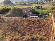 Casa rústica, Oliveira do Douro