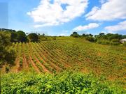 Casa rústica, Palmela