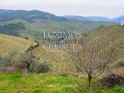 Casa rústica, Paradela de Guiães