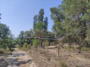 Casa rústica, Mora