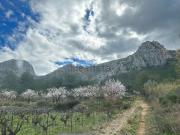 Casa rústica, Pedreguer