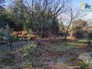 Casa rústica, Pedrógão Pequeno