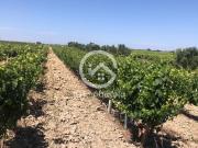 Casa rústica, Poceirão e Marateca