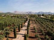 Casa rústica, Pollença