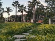 Casa rústica, Porches