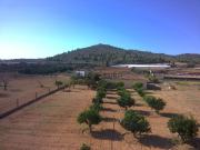 Casa rústica, Porreres