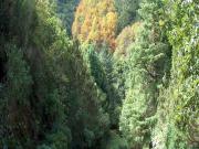 Casa rústica, Porto da Cruz