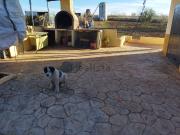 Casa rústica, Puertollano