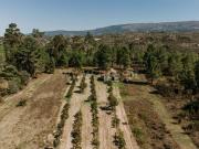 Casa rústica, Ribamondego