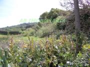 Casa rústica, Ribeirinha