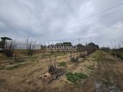 Casa rústica, Riudoms