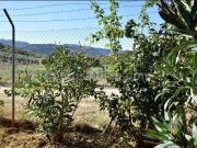 Casa rústica, Ronda