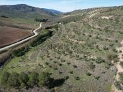 Casa rústica, Ronda