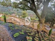 Casa rústica, Ruivães e Campos