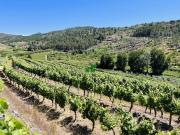 Casa rústica, São Mamede de Ribatua