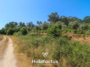 Casa rústica, São Miguel do Outeiro e Sabugosa