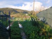 Casa rústica, Sant Llorenç Des Cardassar