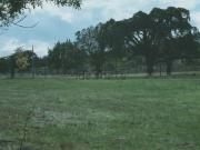 Casa rústica, Santa Eufémia