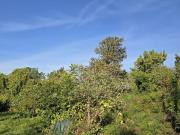 Casa rústica, Santa Lucrécia de Algeriz e Navarra