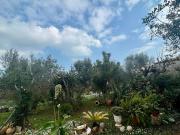 Casa rústica, Santa Margalida