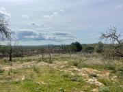 Casa rústica, Santa Margalida