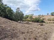 Casa rústica, Santiago do Cacém Santa Cruz São...