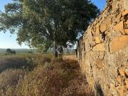 Casa rústica, Santiago do Cacém Santa Cruz São...