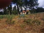 Casa rústica, Santo António da Serra