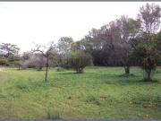 Casa rústica, Selva