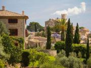 Casa rústica, Selva