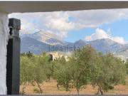 Casa rústica, Selva