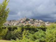 Casa rústica, Selva