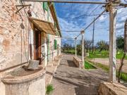 Casa rústica, Selva