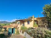 Casa rústica, Selva