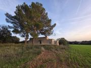 Casa rústica, Sencelles